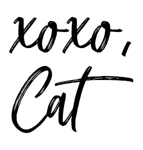 Xoxo Cat Food Review